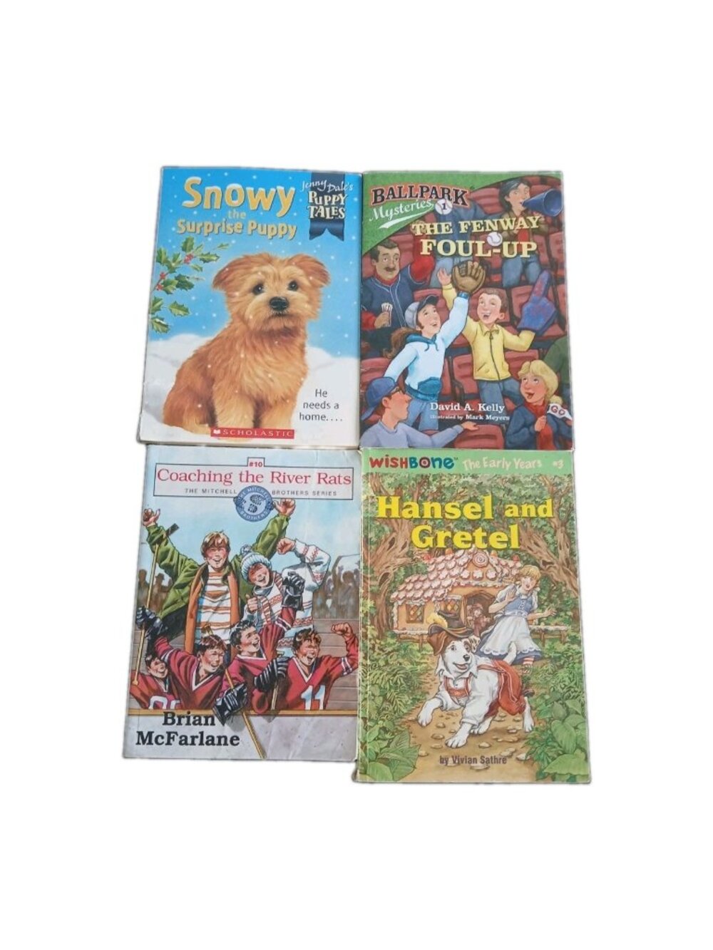 Childrens Chapter Book Lot of 4 Snowy Surprise Puppy Hnesel & Gretel